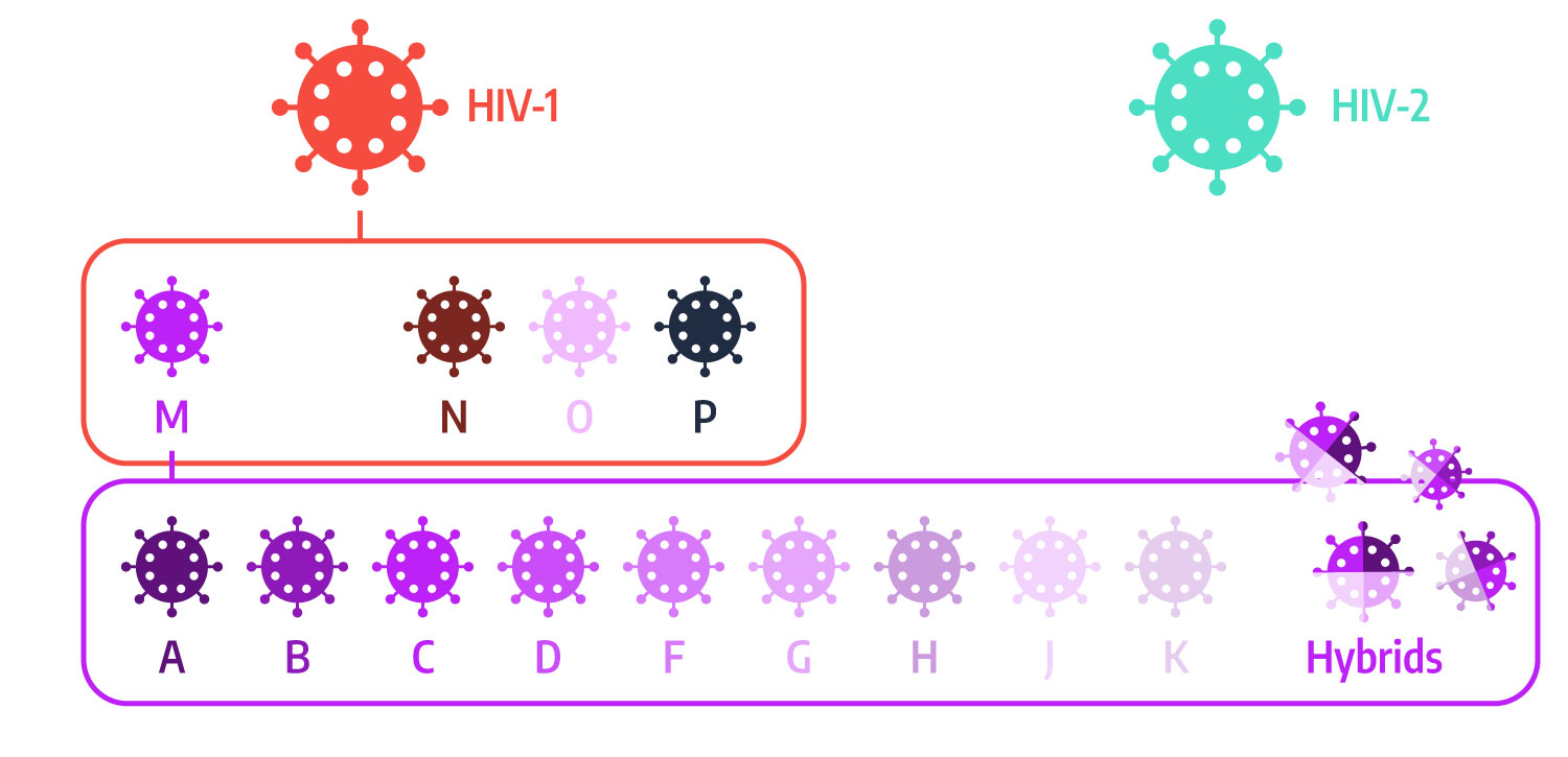 Types of HIV virus